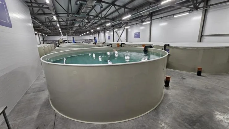 Рыбоводные бассейны